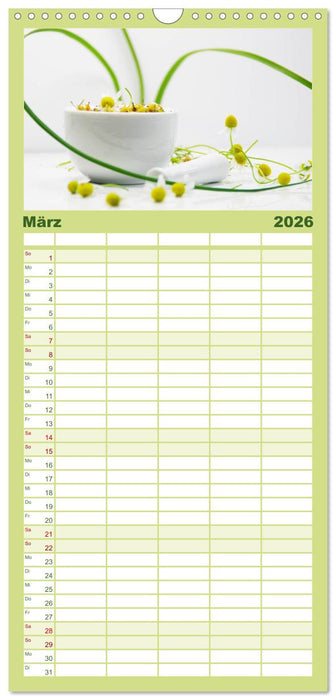 Helfende Kräuter aus dem Garten (CALVENDO Familienplaner 2026)