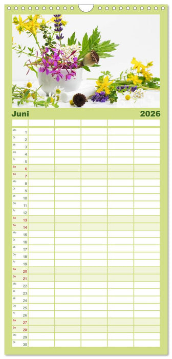 Helfende Kräuter aus dem Garten (CALVENDO Familienplaner 2026)