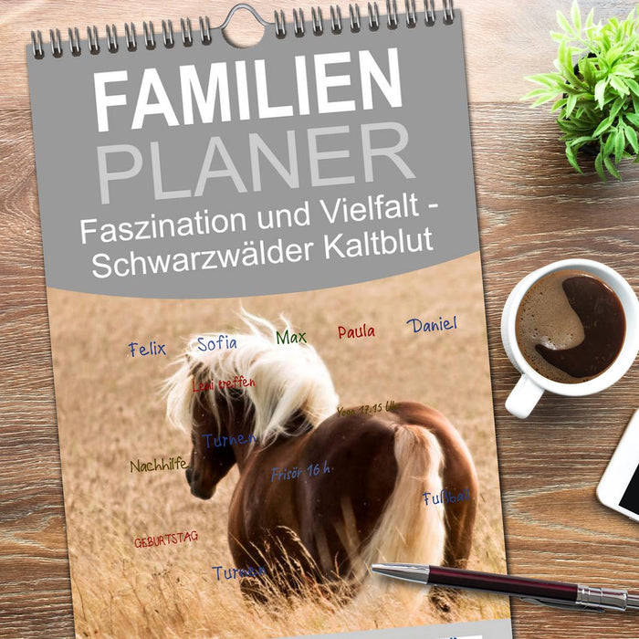 Faszination und Vielfalt - Schwarzwälder Kaltblut (CALVENDO Familienplaner 2026)