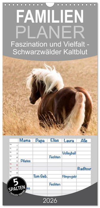 Faszination und Vielfalt - Schwarzwälder Kaltblut (CALVENDO Familienplaner 2026)