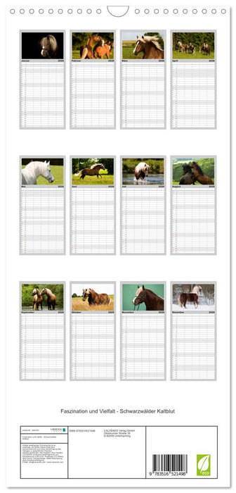 Faszination und Vielfalt - Schwarzwälder Kaltblut (CALVENDO Familienplaner 2026)