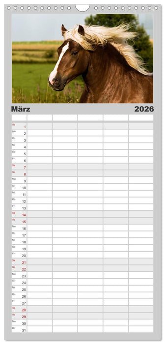 Faszination und Vielfalt - Schwarzwälder Kaltblut (CALVENDO Familienplaner 2026)