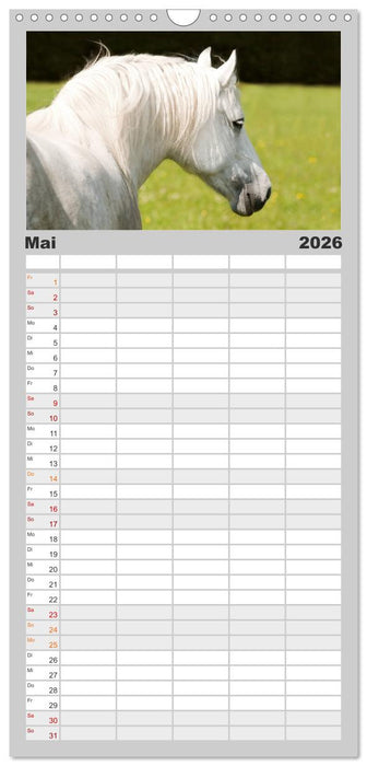 Faszination und Vielfalt - Schwarzwälder Kaltblut (CALVENDO Familienplaner 2026)