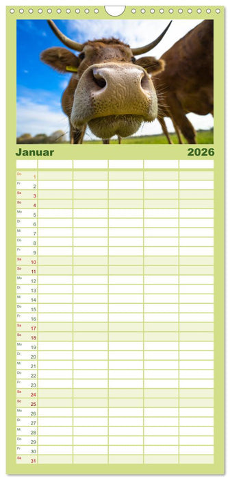 Kuhckst du? (CALVENDO Familienplaner 2026)