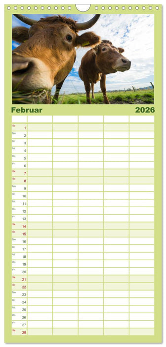 Kuhckst du? (CALVENDO Familienplaner 2026)