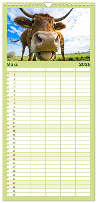 Kuhckst du? (CALVENDO Familienplaner 2026)