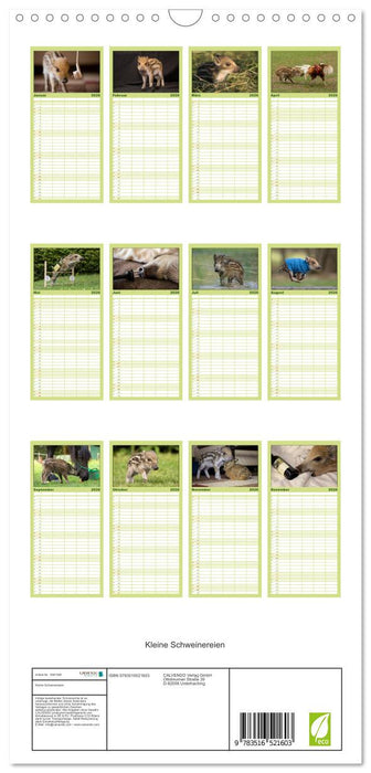 Kleine Schweinereien (CALVENDO Familienplaner 2026)