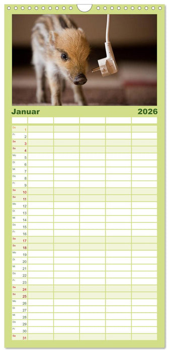 Kleine Schweinereien (CALVENDO Familienplaner 2026)
