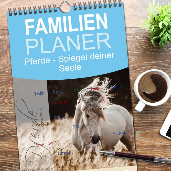 Spiegel deiner Seele (CALVENDO Familienplaner 2026)