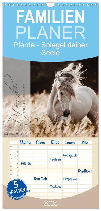 Spiegel deiner Seele (CALVENDO Familienplaner 2026)