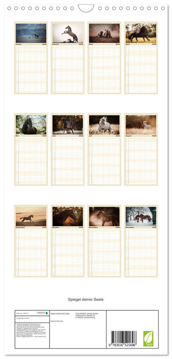 Spiegel deiner Seele (CALVENDO Familienplaner 2026)