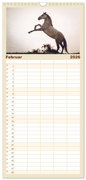 Spiegel deiner Seele (CALVENDO Familienplaner 2026)