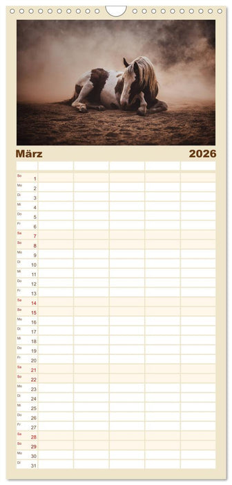 Spiegel deiner Seele (CALVENDO Familienplaner 2026)