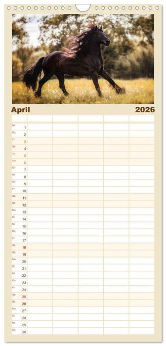 Spiegel deiner Seele (CALVENDO Familienplaner 2026)