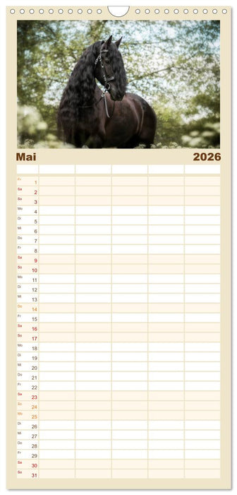 Spiegel deiner Seele (CALVENDO Familienplaner 2026)