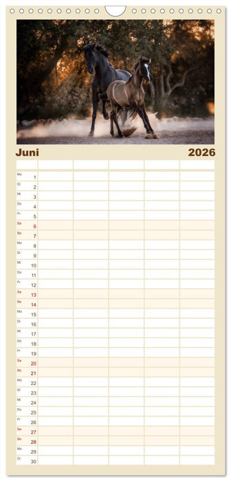 Spiegel deiner Seele (CALVENDO Familienplaner 2026)