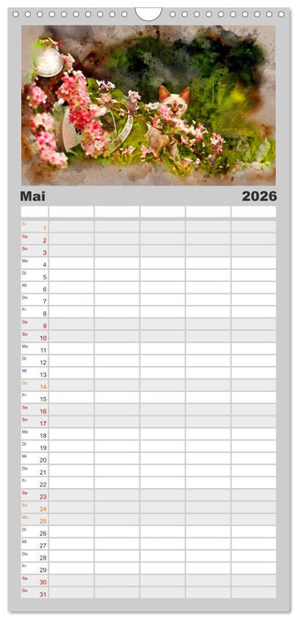 Katzenkalender mausgemalt (CALVENDO Familienplaner 2026)