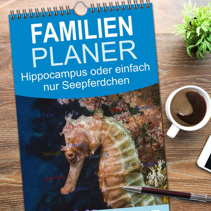 Hippocampus oder einfach nur Seepferdchen (CALVENDO Familienplaner 2026)