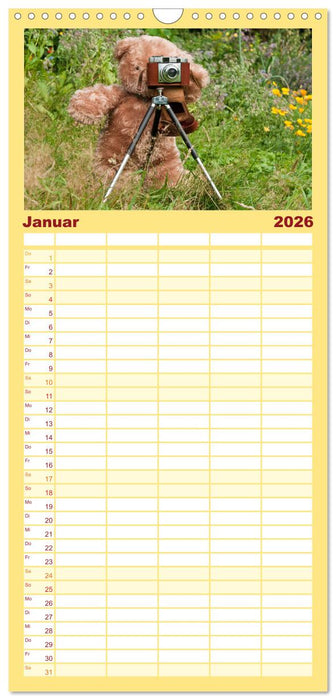 Kunterbunte Bärenwelt - Teddys (CALVENDO Familienplaner 2026)