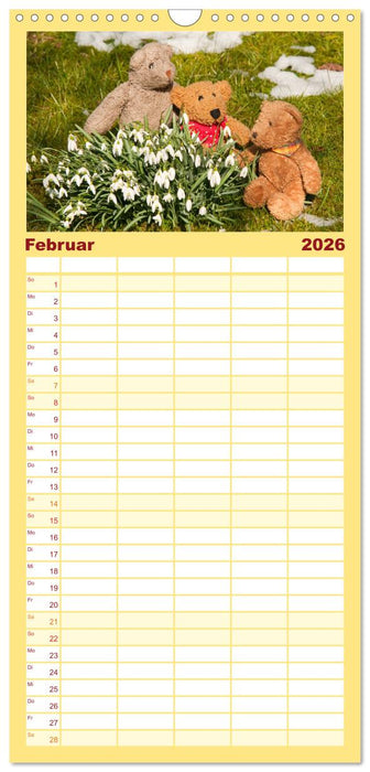 Kunterbunte Bärenwelt - Teddys (CALVENDO Familienplaner 2026)