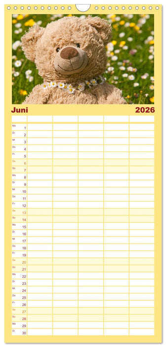 Kunterbunte Bärenwelt - Teddys (CALVENDO Familienplaner 2026)