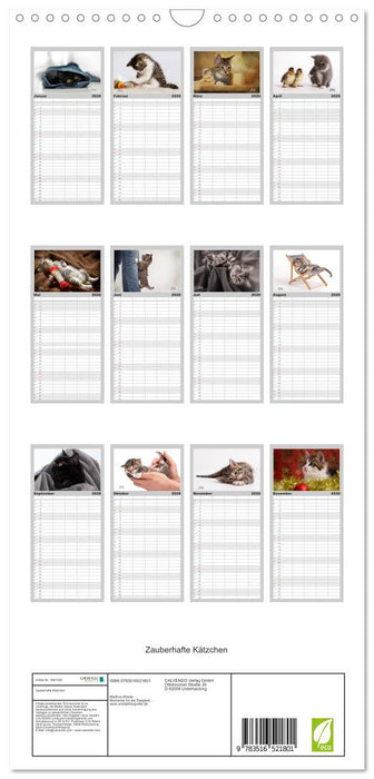 Zauberhafte Kätzchen (CALVENDO Familienplaner 2026)