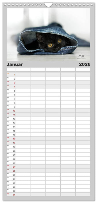 Zauberhafte Kätzchen (CALVENDO Familienplaner 2026)