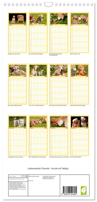 Liebenswerte Freunde - Hunde mit Teddys (CALVENDO Familienplaner 2026)