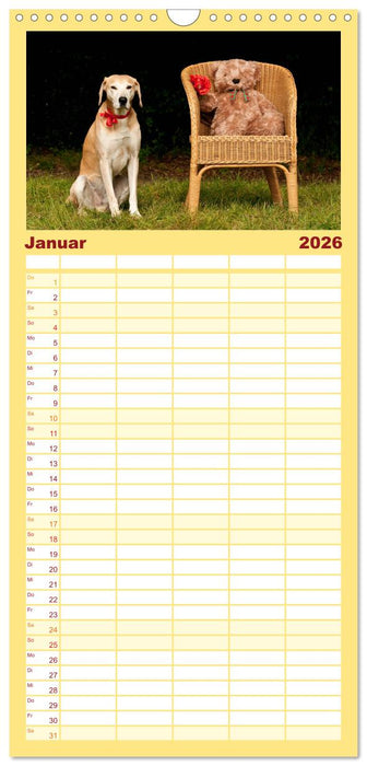 Liebenswerte Freunde - Hunde mit Teddys (CALVENDO Familienplaner 2026)