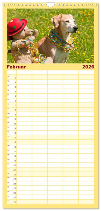 Liebenswerte Freunde - Hunde mit Teddys (CALVENDO Familienplaner 2026)