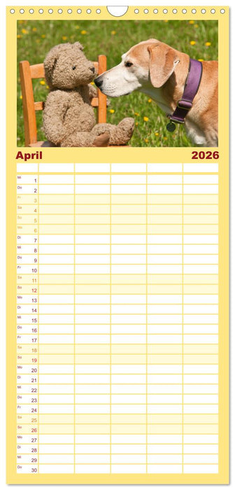 Liebenswerte Freunde - Hunde mit Teddys (CALVENDO Familienplaner 2026)