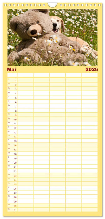 Liebenswerte Freunde - Hunde mit Teddys (CALVENDO Familienplaner 2026)