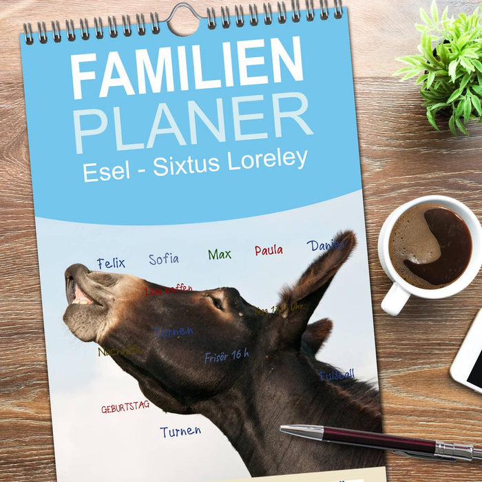 Esel - Sixtus Loreley (CALVENDO Familienplaner 2026)