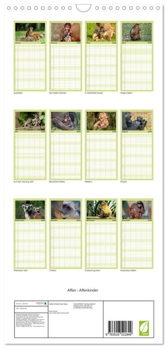 Affen - Affenkinder (CALVENDO Familienplaner 2026)