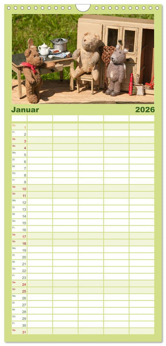 Geliebte Bären - Teddys (CALVENDO Familienplaner 2026)