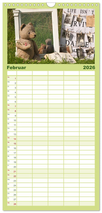 Geliebte Bären - Teddys (CALVENDO Familienplaner 2026)