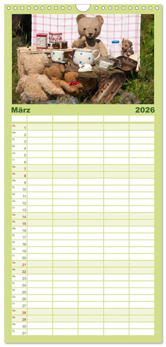 Geliebte Bären - Teddys (CALVENDO Familienplaner 2026)