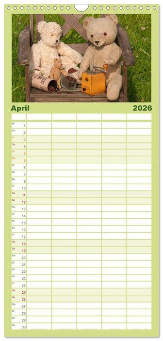 Geliebte Bären - Teddys (CALVENDO Familienplaner 2026)