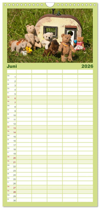 Geliebte Bären - Teddys (CALVENDO Familienplaner 2026)