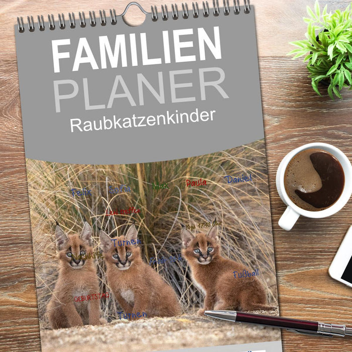 Raubkatzenkinder (CALVENDO Familienplaner 2026)