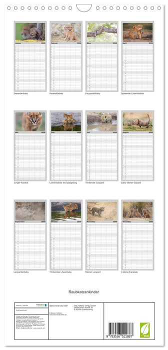Raubkatzenkinder (CALVENDO Familienplaner 2026)