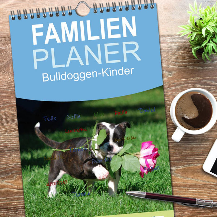 Bulldoggen-Kinder (CALVENDO Familienplaner 2026)