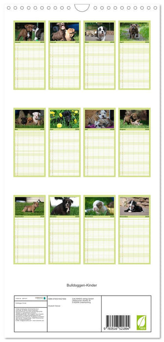 Bulldoggen-Kinder (CALVENDO Familienplaner 2026)