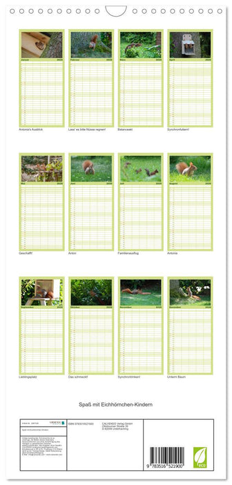Spaß mit Eichhörnchen-Kindern (CALVENDO Familienplaner 2026)