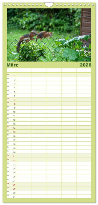 Spaß mit Eichhörnchen-Kindern (CALVENDO Familienplaner 2026)