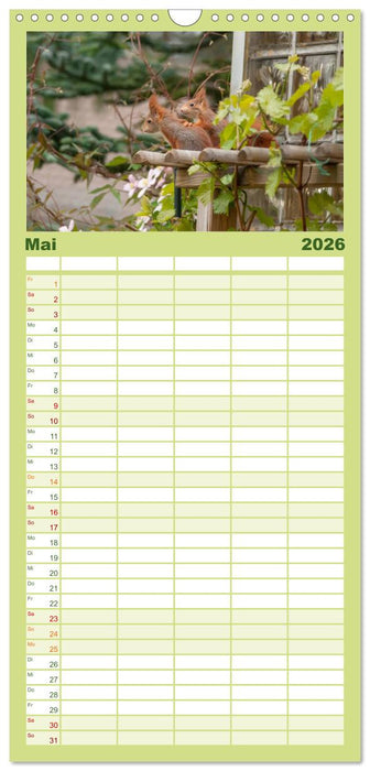 Spaß mit Eichhörnchen-Kindern (CALVENDO Familienplaner 2026)