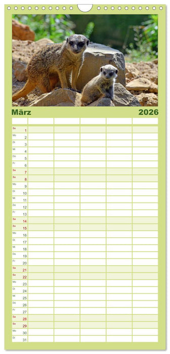 Erdmännchens Kinderstube (CALVENDO Familienplaner 2026)