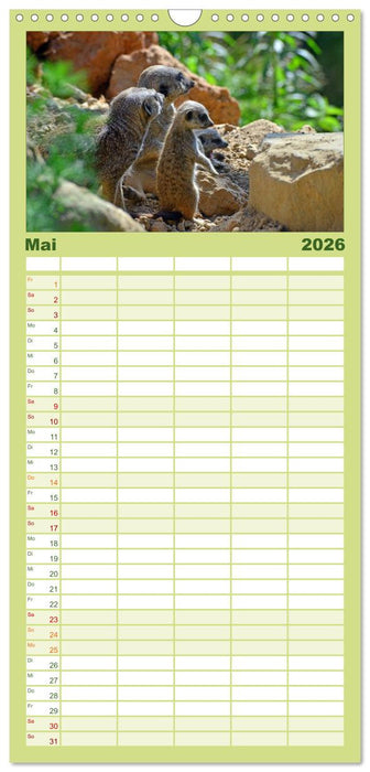 Erdmännchens Kinderstube (CALVENDO Familienplaner 2026)