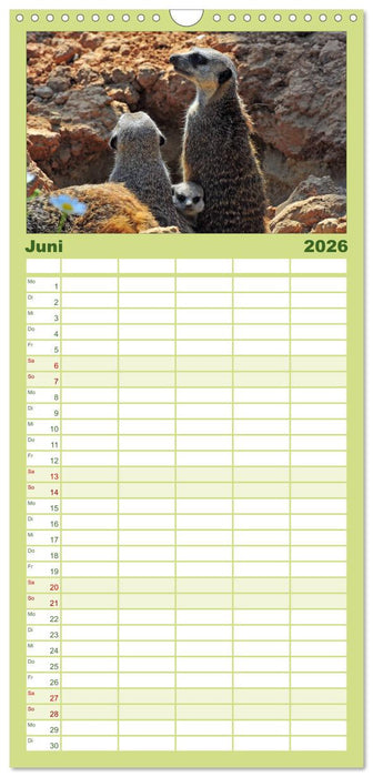 Erdmännchens Kinderstube (CALVENDO Familienplaner 2026)