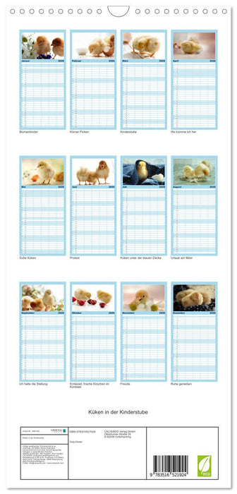 Küken in der Kinderstube (CALVENDO Familienplaner 2026)